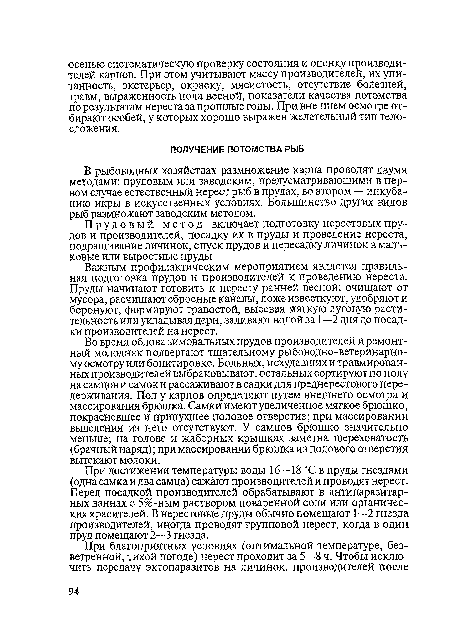 Прудов ый метод включает подготовку нерестовых прудов и производителей, посадку их в пруды и проведение нереста, подращивание личинок, спуск прудов и пересадку личинок в мальковые или выростные пруды.