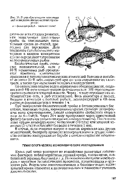 В случае, если ставится вопрос о снятии карантина или других ограничений, биопробу проводят непосредственно в прудах хозяйства согласно инструкции по борьбе с соответствующим заболеванием.