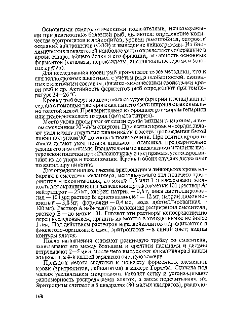 Для определения количества эритроцитов и лейкоцитов кровь набирают в смеситель меланжера, используемого для подсчета эритроцитов млекопитающих, до метки 0,5 или 1 и насасывают жидкость для окрашивания и разведения крови до метки 101 (раствор А: нейтральрот — 25 мг; хлорид натрия — 0,6 г, вода дистиллированная — 100 мл; раствор Б: кристаллвиолет — 12 мг, натрий лимоннокислый — 3,8 мг; формалин — 0,4 мл, вода дистиллированная — 100 мл). Раствор А набирают до половины расширения смесителя, раствор Б — до метки 101. Готовят эти растворы непосредственно перед исследованием; хранить их можно в холодильнике не более 1 нед. Под действием растворов ядра лейкоцитов окрашиваются в фиолетово-оранжевый цвет, эритроцитов — в синий цвет; видны контуры клеток.