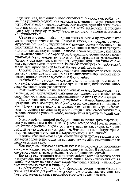 У рыбы, сохраняемой в воде, окоченение наступает раньше, проявляется более резко и длится дольше, чем у рыбы, хранившейся на воздухе или во льду.