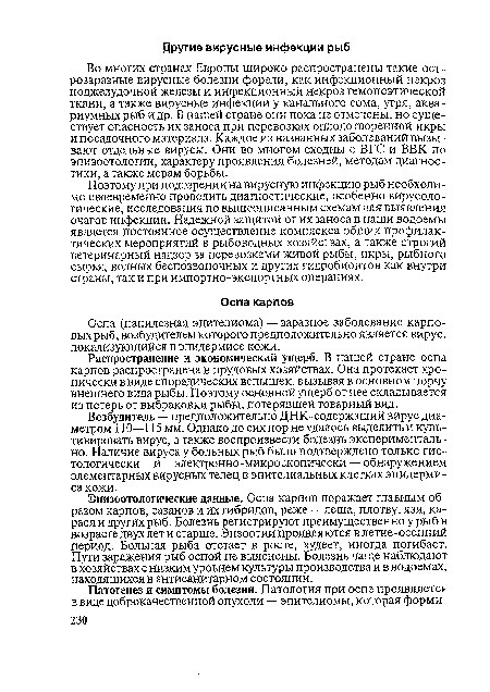 Поэтому при подозрении на вирусную инфекцию рыб необходимо своевременно проводить диагностические, особенно вирусологические, исследования по вышеописанным схемам для выявления очагов инфекции. Надежной защитой от их заноса в наши водоемы является постоянное осуществление комплекса общих профилактических мероприятий в рыбоводных хозяйствах, а также строгий ветеринарный надзор за перевозками живой рыбы, икры, рыбного сырья, водных беспозвоночных и других гидробионтов как внутри страны, так и при импортно-экспортных операциях.