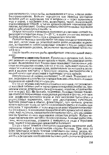 Острое течение наблюдается в начале вспышки, сопровождается массовой гибелью рыб и характеризуется кровоизлияниями, еро-шением чешуи, пучеглазием (экзофтальмия), асцитом, общей водянкой тела (рис. III). На брюшке, плавниках, боковых стенках туловища отмечают покраснения кожи разных размеров и формы, очаговое или диффузное ерошение чешуи за счет скопления транссудата в подчешуйных кармашках, одно- или двустороннее пучеглазие. Брюшко увеличено в объеме, флюктуирует, при пробном проколе из него вытекает экссудат желто-соломенного цвета с кровянистым оттенком. У зеркальных и голых карпов на коже образуются везикулы (пузырьки), заполненные прозрачной или кровянистой жидкостью. Анус выпячен, слизистая его гиперемирована, при надавливании на брюшко из него выделяются слизистые шнуры. Жабры нередко анемичны или застойно гиперемированы. Больные рыбы угнетены, малоподвижны, держатся у поверхности воды в береговой зоне, теряют координацию движений и погибают.