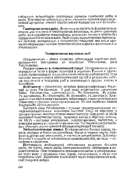 Бактерии рода Pseudomonas — прямые грамотрицательные ок-сидазоположительные подвижные палочки. Спор не образуют; в крови и органах некоторые виды имеют капсулу. При росте на МПБ вызывают помутнение среды, муаровые волны и образуют осадок; на МПА —колонии росинчатые, полупрозрачные, выпуклые, с ровными краями и гладкой поверхностью. На твердых средах бактерии образуют желто-зеленый флюоресцирующий пигмент.