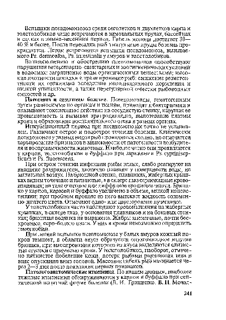 Патогенез и симптомы болезни. Псевдомонады, гематогенным путем разносимые по органам и тканям, приводят к бактериемии и оказывают токсигенное действие на сосудистую стенку, нарушая ее проницаемость и вызывая эритродиапедез, выпотевание плазмы крови и образование воспалительного отека в разных органах.