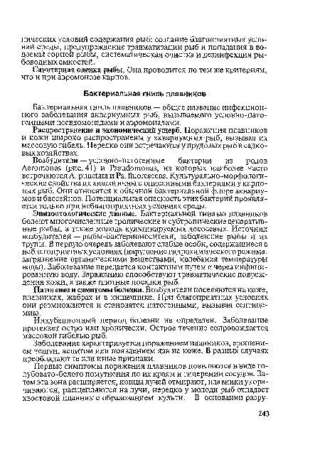 Распространение и экономический ущерб. Поражения плавников и кожи широко распространены у аквариумных рыб, вызывая их массовую гибель. Нередко они встречаются у прудовых рыб в садковых хозяйствах.