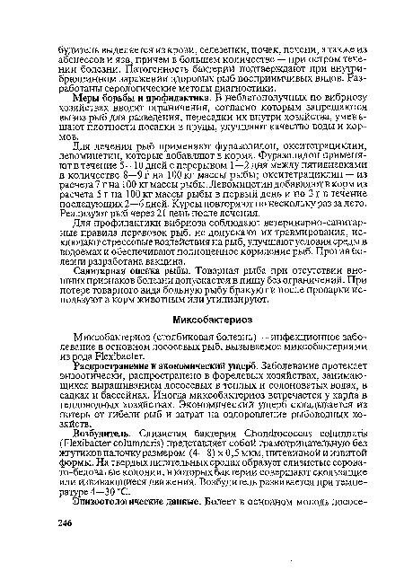 Возбудитель. Слизистая бактерия С1юпс1гососсщ со1ишпапз (Нехй>а<Лег со1ишпапз) представляет собой грамотрицательную без жгутиков палочку размером (4—8) х 0,5 мкм, нитевидной и извитой формы. На твердых питательных средах образует слизистые серовато-беловатые колонии, в которых бактерии совершают скользящие или извивающиеся движения. Возбудитель развивается при температуре 4—30 °С.