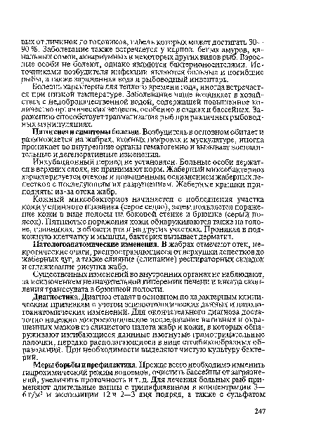 Диагностика. Диагноз ставят в основном по характерным клиническим признакам с учетом эпизоотологических данных и патологоанатомических изменений. Для окончательного диагноза достаточно надежно микроскопическое исследование нативных и окрашенных мазков из слизистого налета жабр и кожи, в которых обнаруживают изгибающиеся длинные изогнутые грамотрицательные палочки, нередко располагающиеся в виде столбикообразных образований. При необходимости выделяют чистую культуру бактерий.