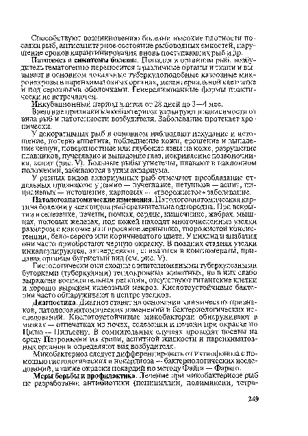 У декоративных рыб в основном наблюдают исхудание и истощение, потерю аппетита, побледнение кожи, ерошение и выпадение чешуи, поверхностные или глубокие язвы на коже, разрушение плавников, пучеглазие и выпадение глаз, искривление позвоночника, асцит (рис. V). Больные рыбы угнетены, плавают в наклонном положении, забиваются в углы аквариума.