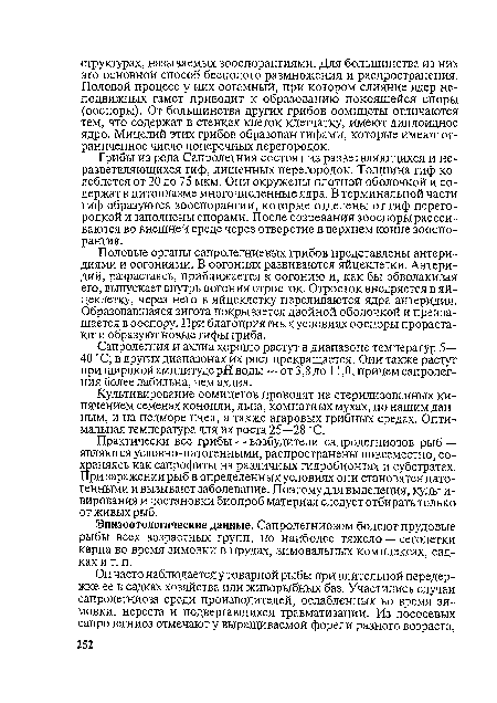 Половые органы сапролегниевых грибов представлены антери-диями и оогониями. В оогониях развиваются яйцеклетки. Антеридий, разрастаясь, приближается к оогонию и, как бы обволакивая его, выпускает внутрь оогония отросток. Отросток внедряется в яйцеклетку, через него в яйцеклетку переливаются ядра антеридия. Образовавшаяся зигота покрывается двойной оболочкой и превращается в ооспору. При благоприятных условиях ооспоры прорастают и образуют новые гифы гриба.