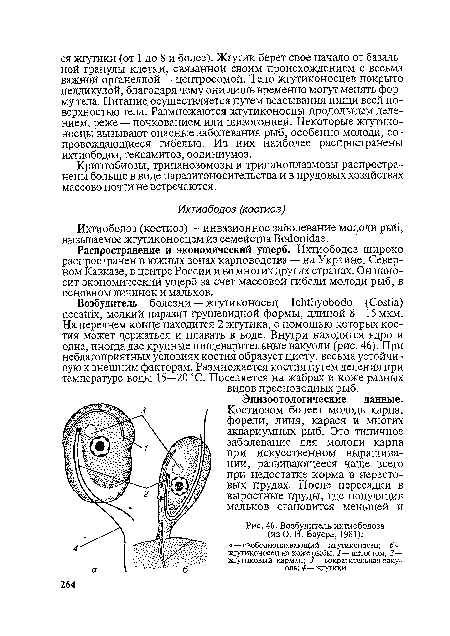 Криптобиозы, трипанозомозы и трипаноплазмозы распространены больше в виде паразитоносительства и в прудовых хозяйствах массово почти не встречаются.