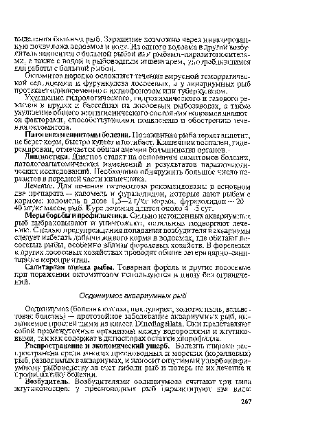 Распространение и экономический ущерб. Болезнь широко распространена среди многих пресноводных и морских (коралловых) рыб, разводимых в аквариумах, и наносит ощутимый ущерб аквариумному рыбоводству за счет гибели рыб и потерь на их лечение и профилактику болезни.