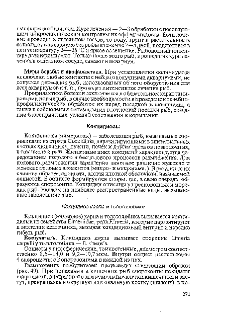 Кокцидиозы (эймериозы) — заболевания рыб, вызываемые споровиками из отряда Coccidiida, паразитирующими в эпителиальных клетках кишечника, печени, почек и других органов позвоночных, в том числе и рыб. Жизненные цикл кокцидий характеризуется чередованием полового и бесполового процессов размножения. Для полового.размножения характерно заметное различие мужских и женских половых элементов (микро- и макрогамет). В результате их слияния образуется зигота, одетая плотной оболочкой, называемой ооцистой. В ооцисте формируются споры, где, в свою очередь, образуются спорозоиты. Кокцидии описаны у пресноводных и морских рыб. Укажем на наиболее распространенные виды, вызывающие заболевание рыб.