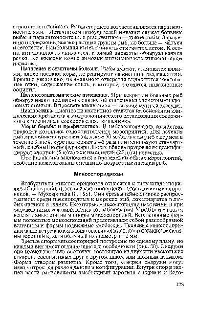 Патологоанатомические изменения. При вскрытии больных рыб обнаруживают воспаление слизистой кишечника с точечными кровоизлияниями. В просвете кишечника — тягучий мутный экссудат.