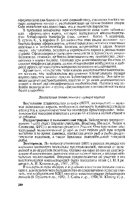 Кроме того, в последние годы многие исследователи высказывают мнение, что возбудителем воспаления плавательного пузыря карпов является миксоспоридия Sphaerospora renicola. Это заболевание широко распространено, наносит ощутимый экономический ущерб и имеет ряд специфических особенностей. Поэтому мы условно включили его в группу сфероспорозов и остановимся на нем более подробно.