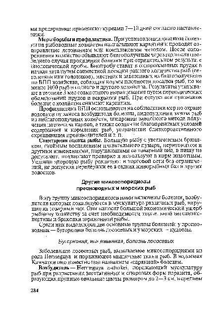 Среди них выделяются две основные группы болезней: у пресноводных — бугорковая болезнь лососевых и у морских — кудоозы.