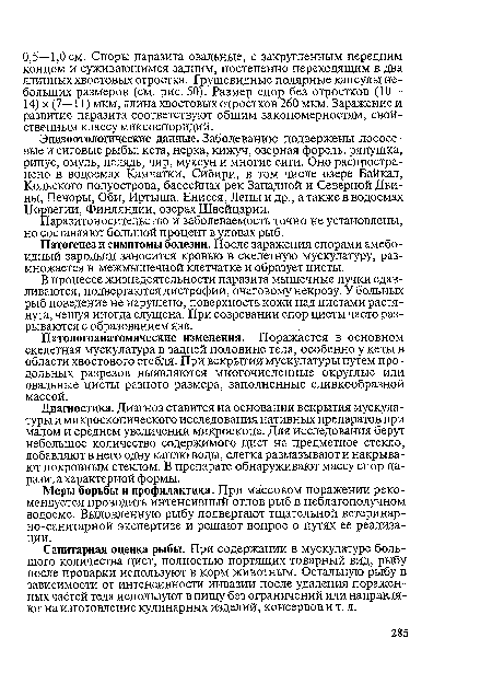 Санитарная оценка рыбы. При содержании в мускулатуре большого количества цист, полностью портящих товарный вид, рыбу после проварки используют в корм животным. Остальную рыбу в зависимости от интенсивности инвазии после удаления пораженных частей тела используют в пищу без ограничений или направляют на изготовление кулинарных изделий, консервов и т. д.