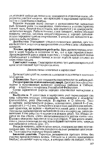 Течение инвазии тесно связано с интенсивностью заражения рыб. Больная рыба малоподвижна, скапливается в местах притока свежей воды, богатой кислородом, или держится у ее поверхности, заглатывая воздух. Рыба истощена, глаза западают, жабры обильно покрыты слизью, местами некротизированы и нередко дополнительно заражены грибом сапролегния. В результате гипоксии и асфиксии рыбы погибают.