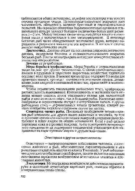 Описторхоз — антропозоонозное заболевание человека, плотоядных животных и рыб, обусловленное паразитированием в них различных стадий гельминтов из класса ТгетаШа. У рыб заболевание протекает в субклинической форме, но они являются основным источником заражения возбудителем описторхоза человека и плотоядных животных.