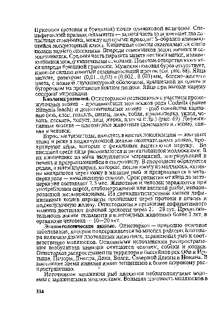 Эпизоотологические данные. Описторхоз — природно-очаговое заболевание, которое поддерживается во многих районах благодаря наличию диких плотоядных животных, зараженных рыб и соответственно моллюсков. Основными источниками распространения возбудителя инвазии считаются человек, собаки и кошки. Описторхоз распространен на территории бассейнов рек Оби и Иртыша, Печоры, Днепра, Дона, Волги, Северной Двины и Немана. В настоящее время инвазия имеет тенденцию к более широкому распространению.