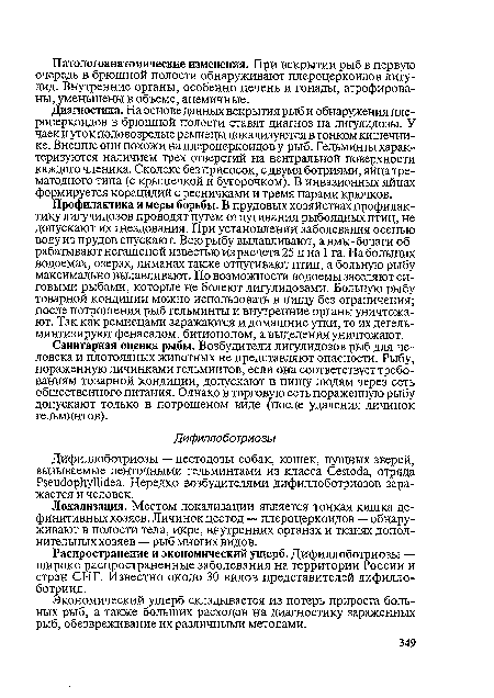 Дифиллоботриозы — цестодозы собак, кошек, пушных зверей, вызываемые ленточными гельминтами из класса Севгоёа, отряда Р8еис1ор1ауШс1еа. Нередко возбудителями дифиллоботриозов заражается и человек.