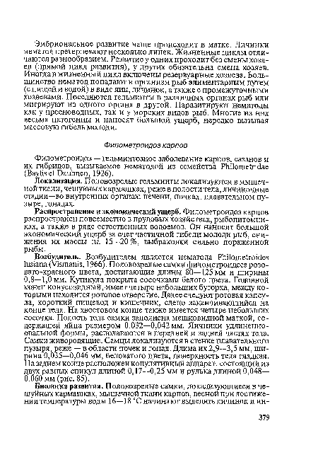 Распространение и экономический ущерб. Филометроидоз карпов распространен повсеместно в прудовых хозяйствах, рыбопитомниках, а также в ряде естественных водоемов. Он наносит большой экономический ущерб за счет частичной гибели молоди рыб, снижения их массы на 15—20%, выбраковки сильно пораженной рыбы.