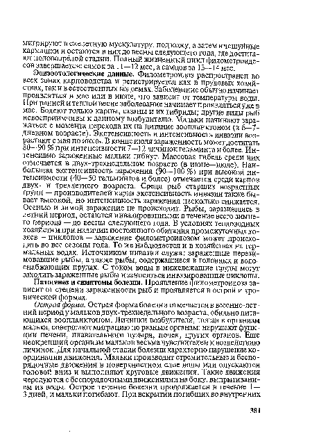 Патогенез и симптомы болезни. Проявление филометроидоза зависит от степени зараженности рыб и проявляется в острой и хронической формах.