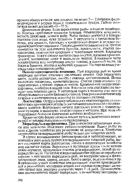 Хроническая форма. Если зараженные рыбы вскоре не погибают, то болезнь принимает затяжное течение. Отмечаются исхудание, вялость движений, анемия жабр. Рыбы больше держатся в поверхностном слое воды, хуже питаются. У двухлетков и трехлетков болезнь, как правило, протекает в хронической форме и нередко сопровождается истощением. При внедрении гельминтов в чешуйные кармашки на теле появляются бугорки, припухлости, участки покраснения, отмечаются ерошение и помутнение чешуи. Паразиты травмируют кожу и стенки кровеносных сосудов, вызывая кровоизлияния, воспаление кожи и выпадение чешуек. Гельминты чаще локализуются под чешуйками вокруг головы, в спинной части, на боках и брюшке, иногда в жаберных крышках. На пораженных участках кожи появляются грибы.