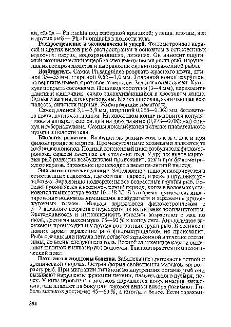 Эпизоотологические данные. Заболевание чаще регистрируется в естественных водоемах, где обитают караси, и реже в прудовых хозяйствах. Заражению подвержены все возрастные группы рыб. Болезнь проявляется в весенне-летний период, когда в водоемах установится температура воды 16—18 °С. В это время происходят инва-зирование водоемов личинками возбудителя и заражение промежуточных хозяев. Мальки заражаются филометроидозом с 5—7-дневного возраста с переходом их на питание зоопланктоном. Экстенсивность и интенсивность инвазии возрастают с мая по июль, достигая максимума 75—80 % к концу лета. Аналогичное заражение происходит и у других возрастных групп рыб. В осеннее и зимнее время заражение рыб филометроидозом не происходит. Рыба с весны или начала лета остается зараженной в течение осени, зимы, до весны следующего года. Весной зараженные караси выделяют личинок и инвазируют водоемы. Так повторяется их биологический цикл.