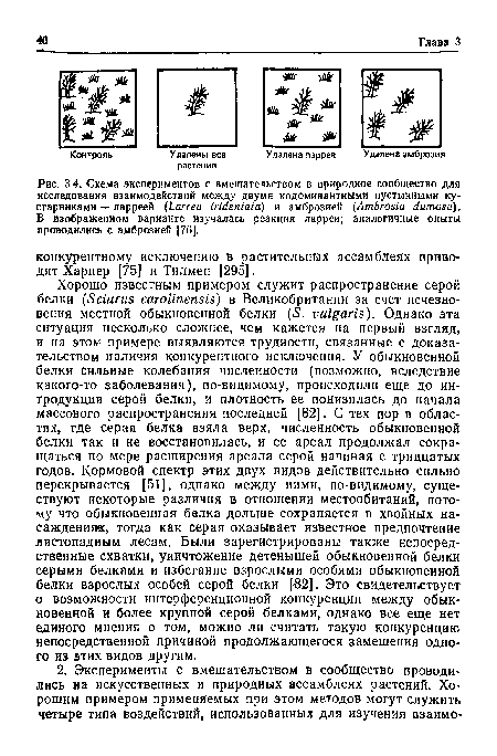 Хорошо известным примером служит распространение серой белки (Sciurus carolinensis) в Великобритании за счет исчезновения местной обыкновенной белки (5. vulgaris). Однако эта ситуация несколько сложнее, чем кажется на первый взгляд, и на этом примере выявляются трудности, связанные с доказательством наличия конкурентного исключения. У обыкновенной белки сильные колебания численности (возможно, вследствие какого-то заболевания), по-видимому, происходили еще до интродукции серой белки, и плотность ее понизилась до начала массового распространения последней [82]. С тех пор в областях, где серая белка взяла верх, численность обыкновенной белки так и не восстановилась, и ее ареал продолжал сокращаться по мере расширения ареала серой начиная с тридцатых годов. Кормовой спектр этих двух видов действительно сильно перекрывается [51], однако между ними, по-видимому, существуют некоторые различия в отношении местообитаний, потому что обыкновенная белка дольше сохраняется в хвойных насаждения«, тогда как серая оказывает известное предпочтение листопадным лесам. Были зарегистрированы также непосредственные схватки, уничтожение детенышей обыкновенной белки серыми белками и избегание взрослыми особями обыкновенной белки взрослых особей серой белки [82]. Это свидетельствует о возможности интерференционной конкуренции между обыкновенной и более крупной серой белками, однако все еще нет единого мнения о том, можно ли считать такую конкуренцию непосредственной причиной продолжающегося замещения одного из этих видов другим.