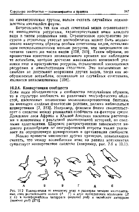 Если виды объединяются в сообщества неслучайным образом, то в структуре сообществ из различных географических областей, населенных независимо эволюционировавшими биотами, но имеющих сходные физические условия, должна наблюдаться конвергенция [7, 213]. Например, феномен биома свидетельствует о сходстве между реакциями сообществ на факторы среды. Дождевые леса Африки и Южной Америки населены растениями и животными с различной эволюционной историей, но сходными адаптациями. Широкое распространение зависимости видового разнообразия от географической широты также указывает на определенную конвергенцию в организации сообществ.