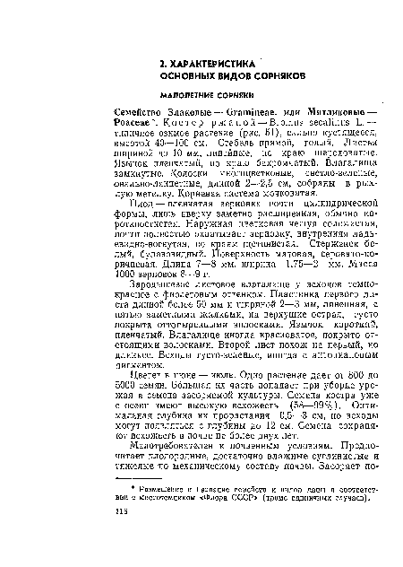 Цветет в июне — июле. Одно растение дает от 800 до 5000 семян. Большая их часть попадает при уборке урожая в семена засоряемой культуры. Семена костра уже с осени имеют высокую всхожесть (58—99%). Оптимальная глубина их прорастания 0,5—3 см, но всходы могут появляться с глубины до 12 см. Семена сохраняют всхожесть в почве не более двух лет.