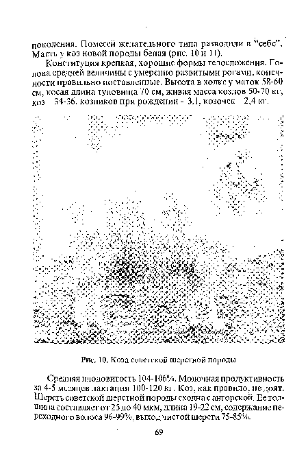 Коза советской шерстной породы