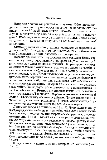 Вопрос о доении коз решают по-разному. Обильномолочных коз начинают доить после завершения молозивного периода - через 5-7 дней после рождения козлят. Приплод в этом случае содержат отдельно от матерей и выпаивают искусственно, используя материнское молоко или ЗЦМ. Такой метод трудоемок, но позволяет получать от коз максимум товарной продукции.