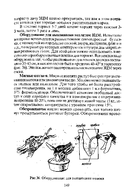 Схема выпаивания козлят молоком