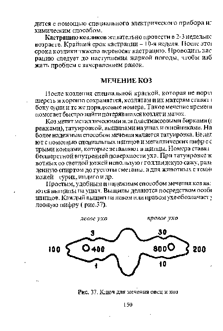 Ключ для мечения овец и коз 150