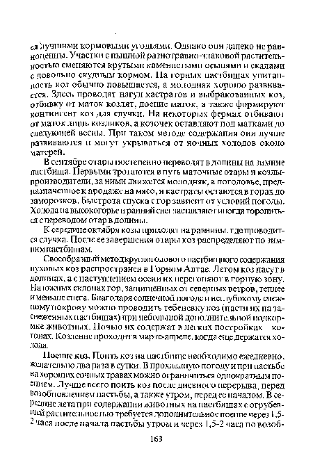 К середине октября козы приходят на равнины, где проводится случка. После ее завершения отары коз распределяют по зимним пастбищам.