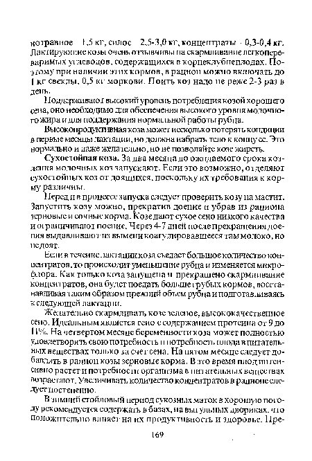 Сухостойная коза. За два месяца до ожидаемого срока коз-ления молочных коз запускают. Если это возможно, отделяют сухостойных коз от доящихся, поскольку их требования к корму различны.