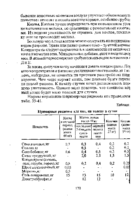 Козлы. Козлов лучше выращивать при повышенном уро! не выпаивания молока, по сравнению с ремонтными козочке ми. Излишняя упитанность не страшна для козлов, поскол! ку они не производят молока.