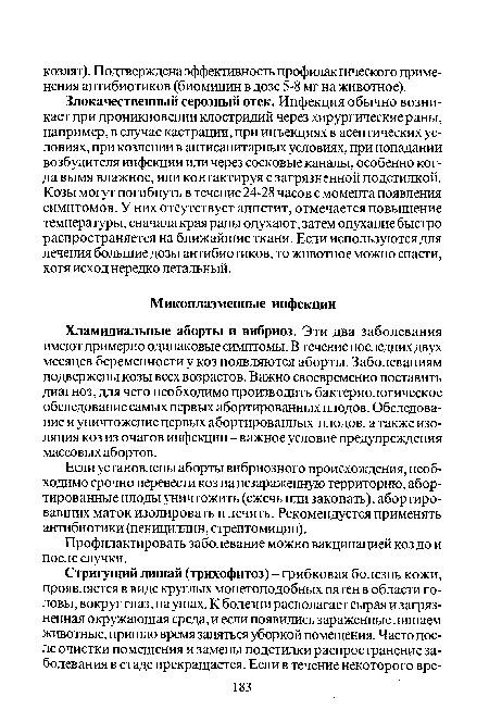 Профилактировать заболевание можно вакцинацией коз до и после случки.