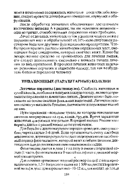 Лечат отдельных животных путем удаления чешуек кожи с пораженных мест и обрабатывают их 10%-ным спиртовым раствором йода или другими фунгицидными препаратами. Чтобы предотвратить расчесы животными пораженных мест, смешивают йод с глицерином, который смягчает кожу. Какое бы лекарственное средство не применялось для лечения лишая, его следует использовать ежедневно с момента начала лечения до выздоровления. В процессе лечения животных надевают резиновые перчатки и защитную одежду, так как возбудитель болезни передается человеку.