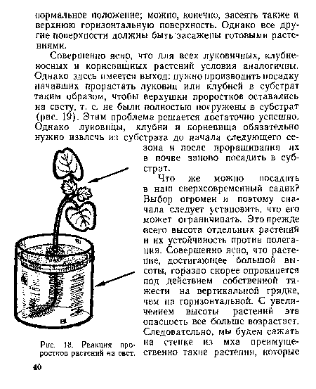 Реакция проростков растений «а овет.