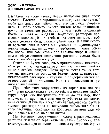 Взглянем на свою стенку через несколько дней после посадки. Растеньица оправились и выпрямились; каждый любитель сразу же поймет, что его питомцы укоренились. С этого времени вместо чистой воды начинается полив питательным раствором, с тем чтобы лишенные почвы растения не голодали. Подкормку раствором производят каждые ,10—14 дней, и при этом вся масса субстрата должна быть сильно увлажнена. В зависимости от времени года и погодных условий в промежутках между подкормками может потребоваться полив обычной водой, для того чтобы при сильной жаре и связанном с ней усиленном испарении растения всегда были полностью обеспечены водой.