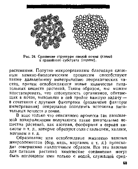 В ходе только что описанного процесса так называемой минерализации получаются такие питательные вещества растений, как азотная, фосфорная и серная кислоты и т. д., которые образуют соли с кальцием, калием, магнием и т. д.