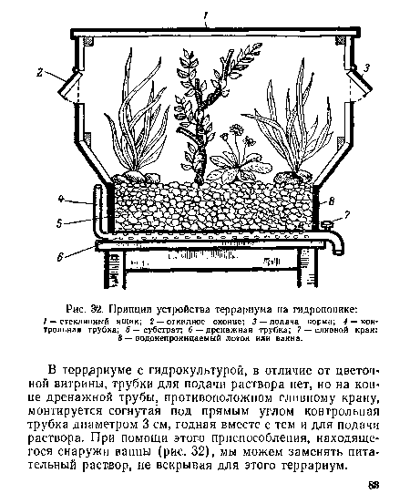 В террариуме с гидрокультурой, в отличие от цветочной витрины, трубки для подачи раствора нет, но на конце дренажной трубы, противоположном сливному крану, монтируется согнутая под прямым углом контрольная трубка диаметром 3 см, годная вместе с тем и для подачи раствора. При помощи этого приспособления, находящегося снаружи ванны (рис. 32), мы можем заменять питательный раствор, не вскрывая для этого террариум.