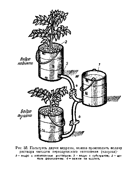Пользуясь двумя ведрами, можно производить подачу раствора методом периодического затопления (напуска)-