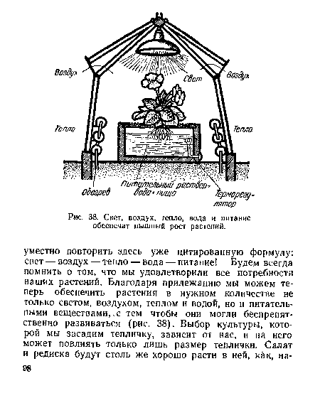 Свет, воздух, тепло, вода и питание обеспечат пышный рост растений.