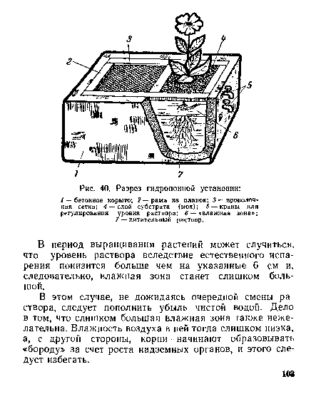 Разрез гидропонной установки