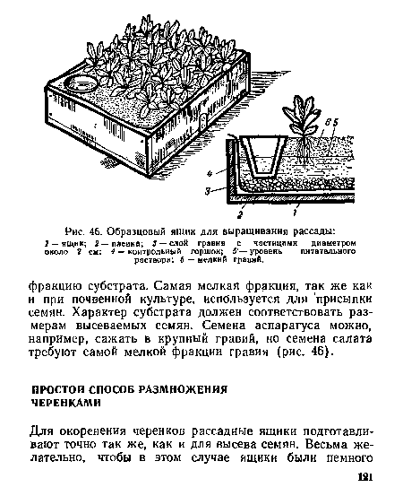 Образцовый ящик для выращивания рассады