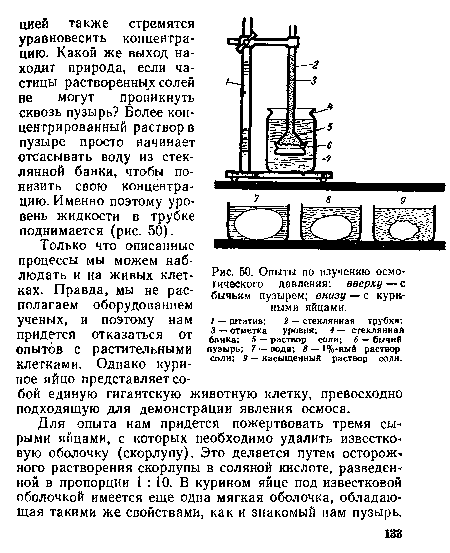 Опыты по изучению осмотического давления