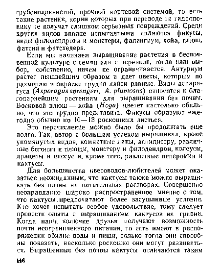 Если мы начинаем выращивание растения в беспочвенной культуре с семян или с черенков, тогда наш выбор, собственно, ничем не ограничивается. Антуриум растет пышнейшим образом и дает цветы, которым по размерам и окраске трудно найти равные. Виды аспарагуса (Asparagussprengeri, A. plumosus) относятся к благодарнейшим растениям для выращивания без почвы. Восковой плющ — хойа (Hoya) цветет настолько обильно, что это трудно представить. Фикусы образуют ежегодно обычно по 10—13 роскошных листьев.